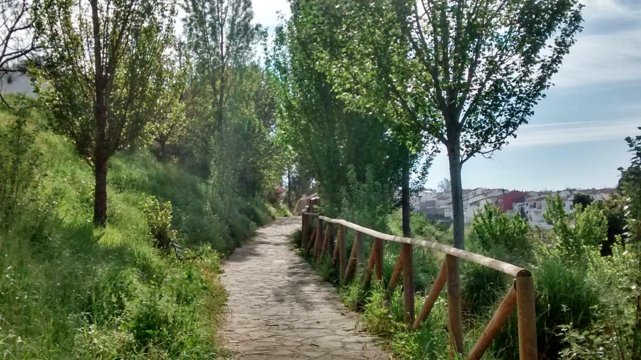 הוילה אריאטה Casa El Paseo מראה חיצוני תמונה